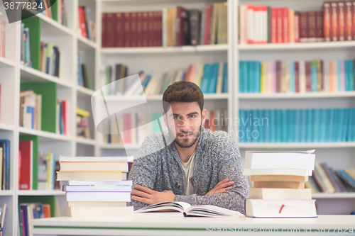 Image of portrait of student while reading book  in school library