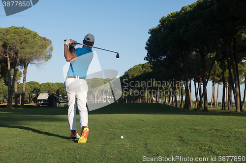 Image of golf player