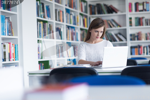 Image of female student study in school library