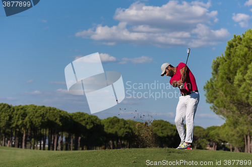 Image of golf player hitting long shot