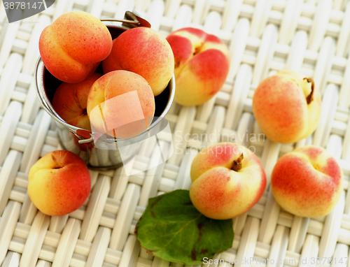 Image of Ripe Fresh Apricots