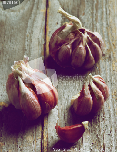 Image of Pink Garlic in Shadow