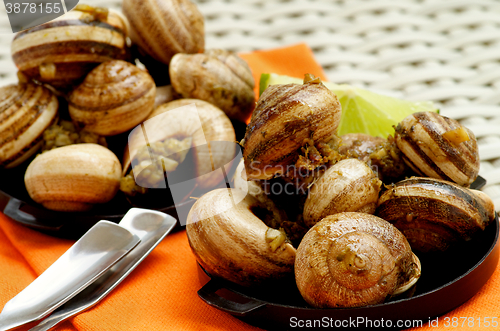 Image of Snails with Garlic Butter