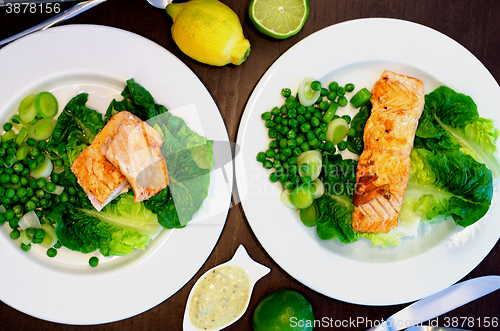 Image of Roasted Salmon and Vegetables