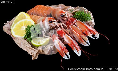 Image of Delicious Raw Langoustines