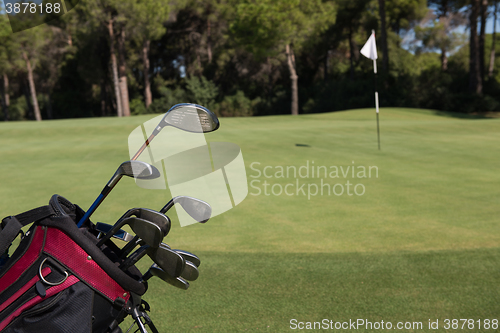 Image of close up golf bag on course