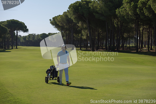 Image of golf player walking with wheel bag