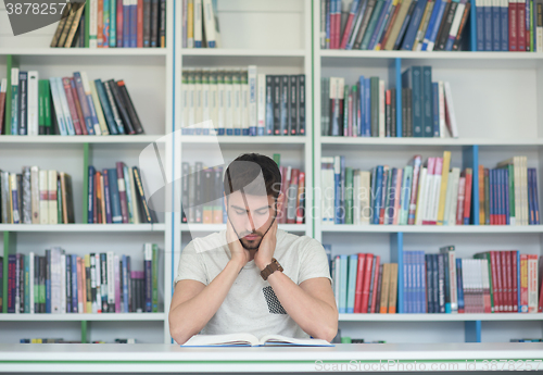 Image of student study  in school library