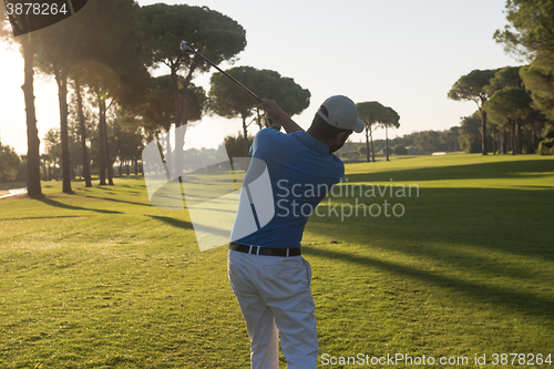 Image of golf player