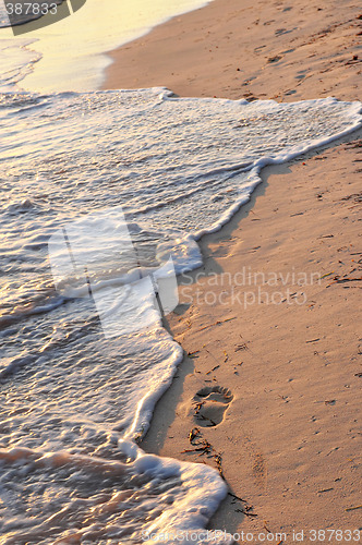 Image of Tropical beach with footprints