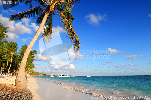 Image of Tropical beach