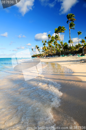 Image of Tropical beach