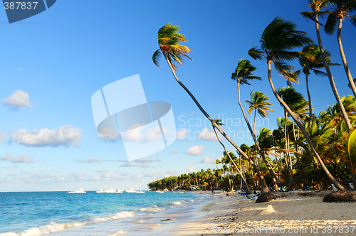 Image of Tropical beach