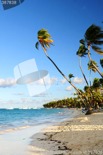 Image of Tropical beach