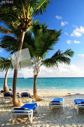 Image of Sandy beach of tropical resort