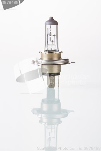 Image of halogen car lamp, isolate on white.