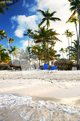 Image of Sandy beach of tropical resort