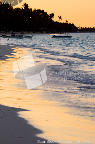 Image of Tropical beach at sunset