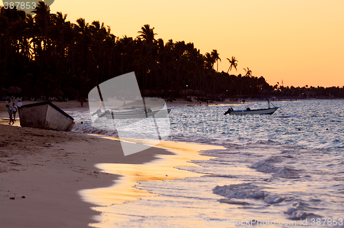 Image of Tropical beach at sunset