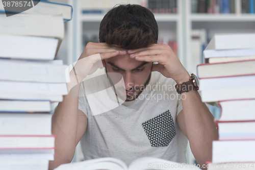 Image of student study  in school library