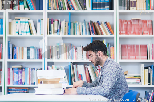 Image of portrait of student while reading book  in school library