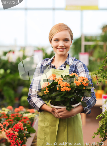 Image of happy woman holding flowers in greenhouse