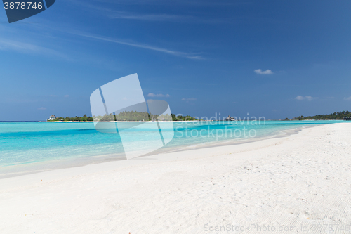 Image of maldives island beach with palm tree and villa