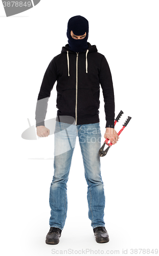 Image of Robber with red bolt cutters