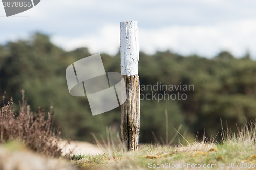 Image of Painted marking at a walking path