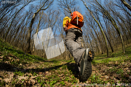 Image of Male hiker looking to the side walking in forest