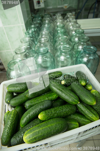 Image of gurtsov conservation. Fresh cucumbers in jars