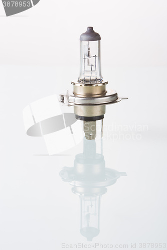 Image of halogen car lamp, isolate on white.