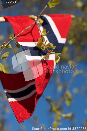 Image of norges flagg, 17-mai