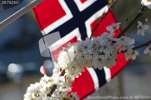 Image of 17-mai er vi så gla i