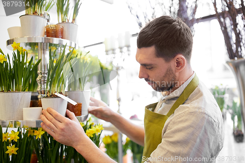 Image of florist man setting flowers at flower shop