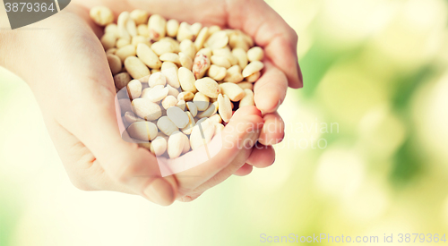 Image of close up of woman hands holding peeled peanuts