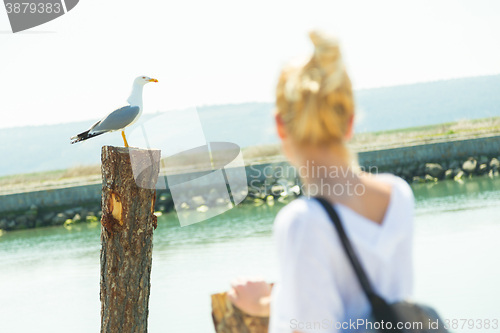 Image of Woman watching seagull in summertime.