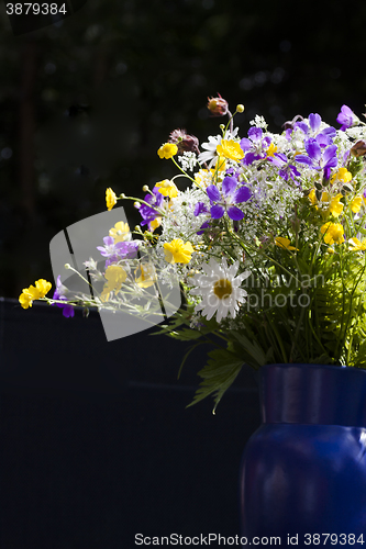 Image of summer flowers