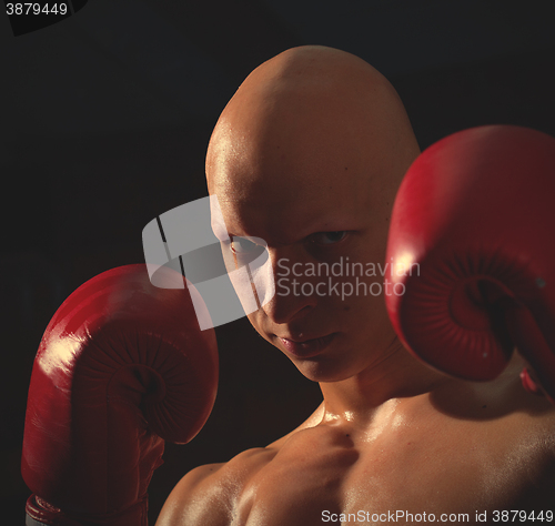 Image of fighter in red gloves