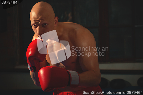 Image of fighter with red gloves