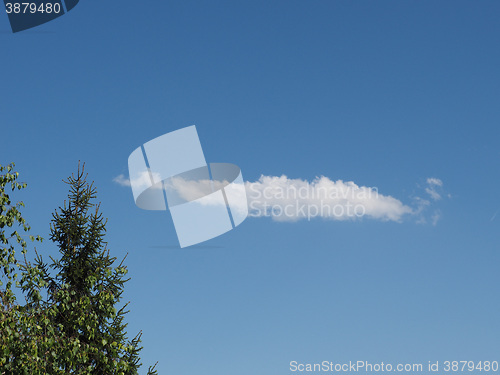 Image of Tree and blue sky with clouds background