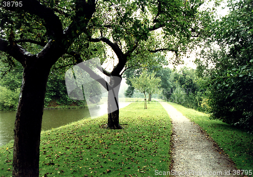 Image of Green Garden