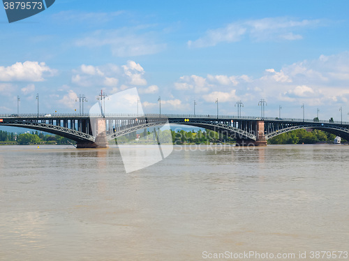 Image of Rhine river in Mainz