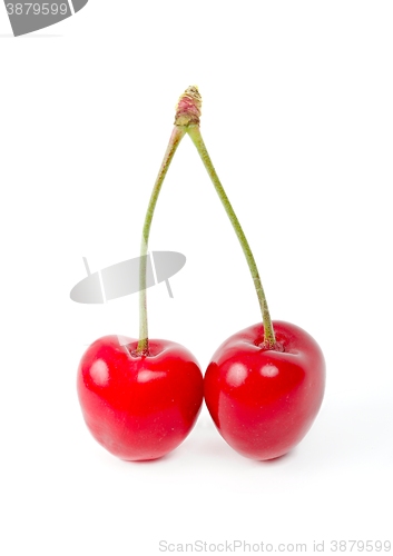 Image of Cherry isolated