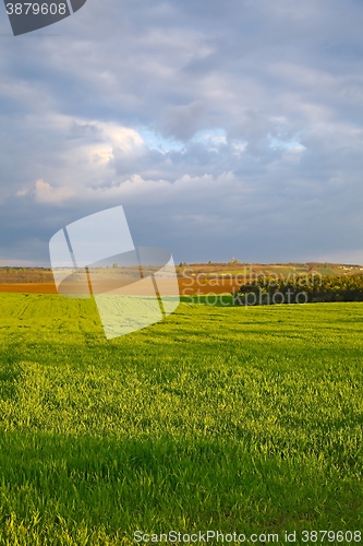 Image of Agircutural landscape with clouds