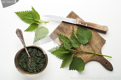 Image of Nettle