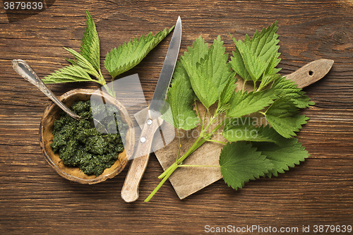 Image of Nettle