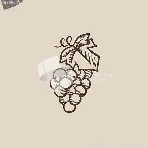Image of Bunch of grapes sketch icon.
