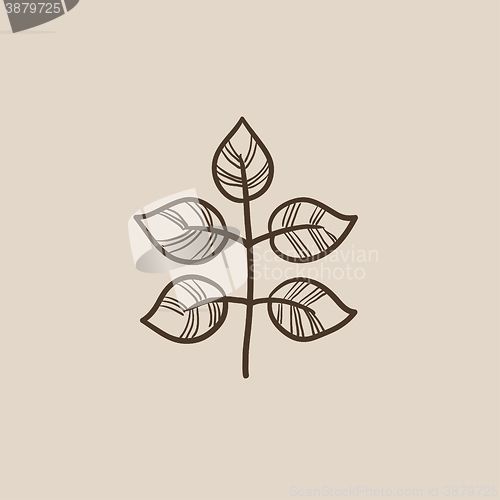 Image of Branch with leaves sketch icon.