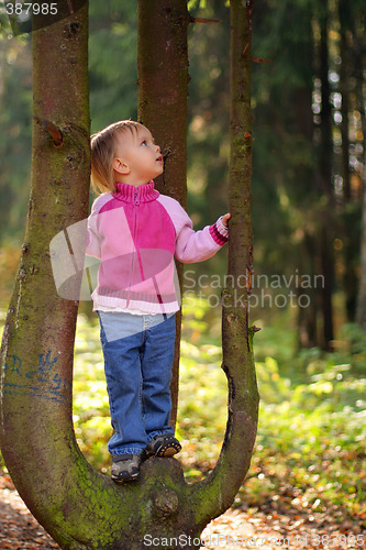 Image of Little beauty girl on tree